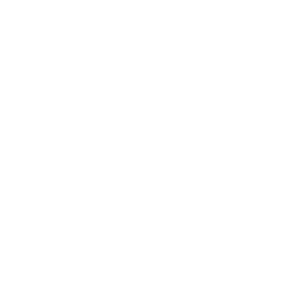 salary-w